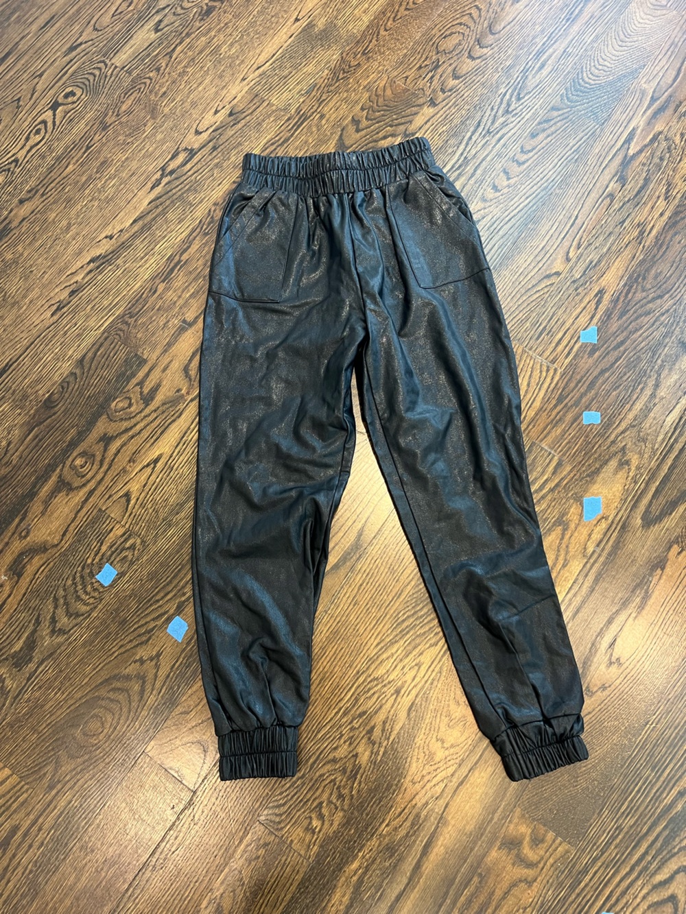 Amaryllis Black Shimmer Jogger Pants